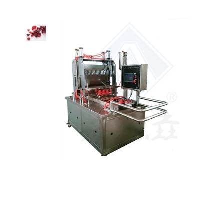 Multifunctieve machine van roestvrij staal voor het produceren van verschillende bosbessen