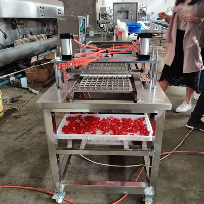 500 kg CE goedgekeurde automatische gummies snoepproductiemachine voor snoeptoepassing