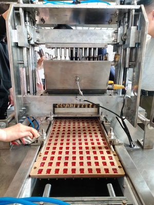 Geavanceerde Jelly Candy Making Machine voor Candy 500kgs Output Automatische Productie Lijn
